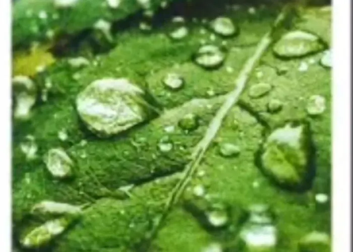 M & M Appartamento Scharnitz